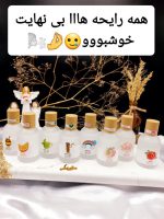 عطر خوش بو کننده بیکینی راحیه رنگین کمانی برند Maiden Arna کد YT_E0259_5